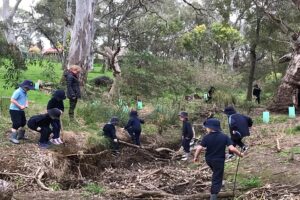 Teacher and children exploring a creek amid trees, bushes, and branches