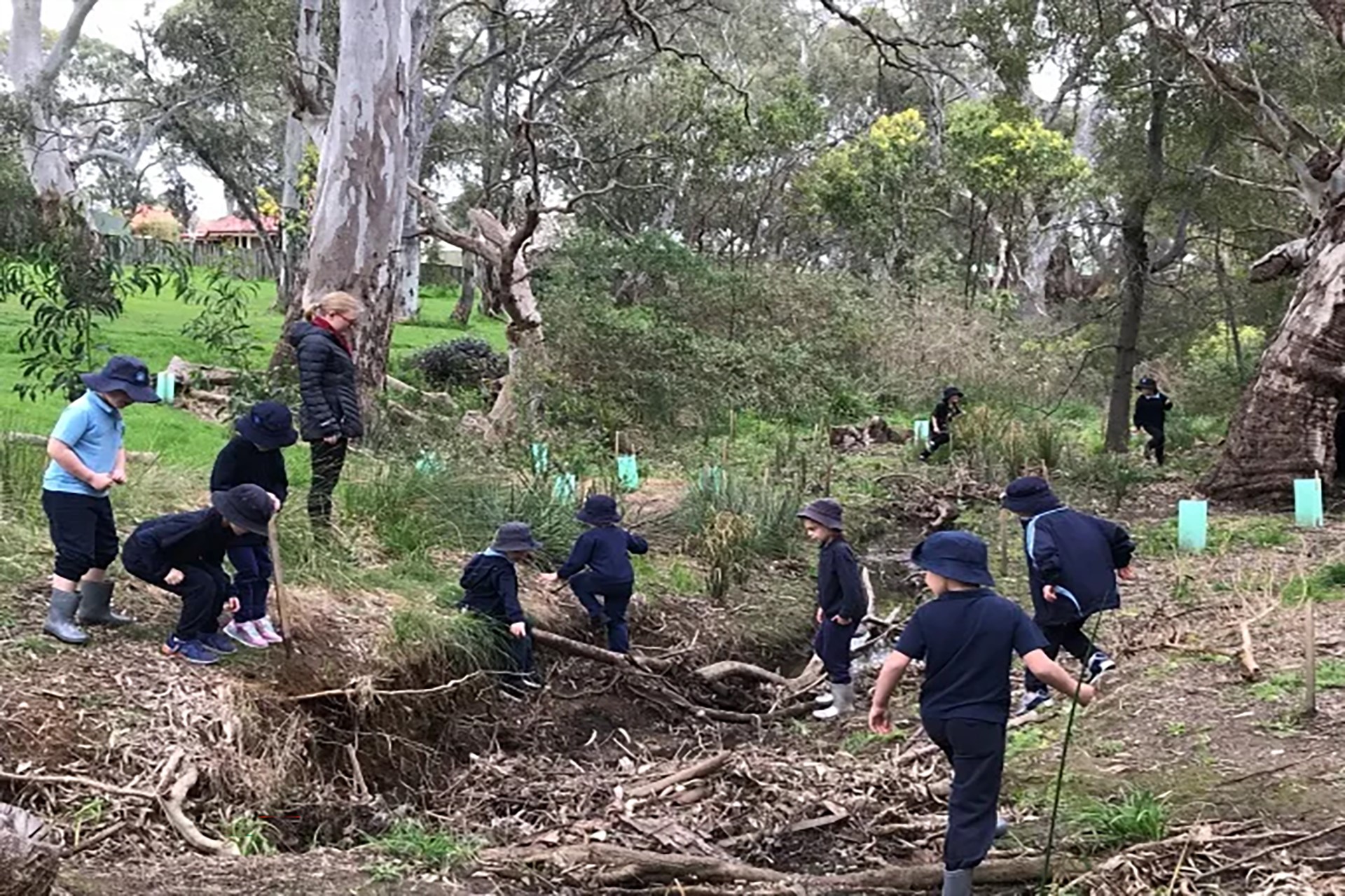 Teacher and children exploring a creek amid trees, bushes, and branches