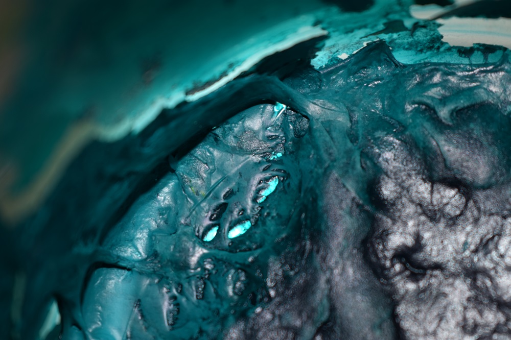 New perspectives through macro photography