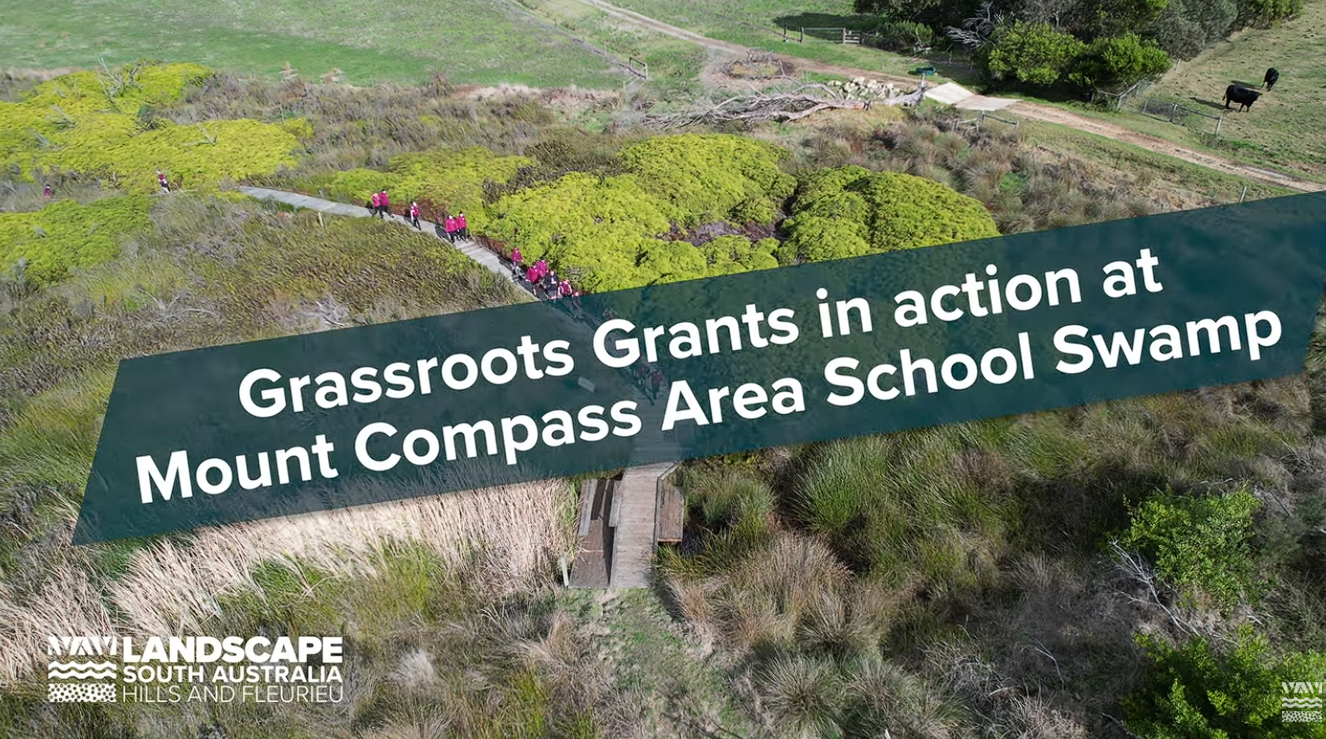 Grassroots Grants in action