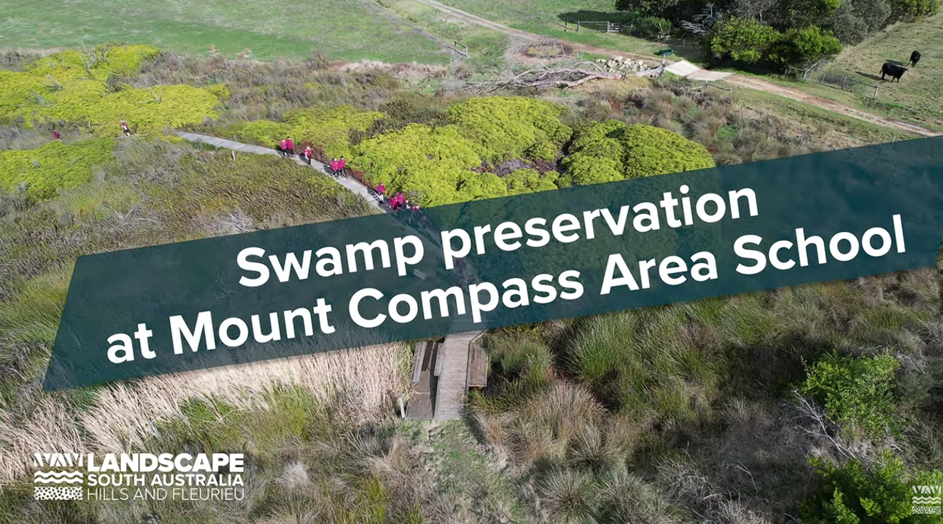 Swamp preservation