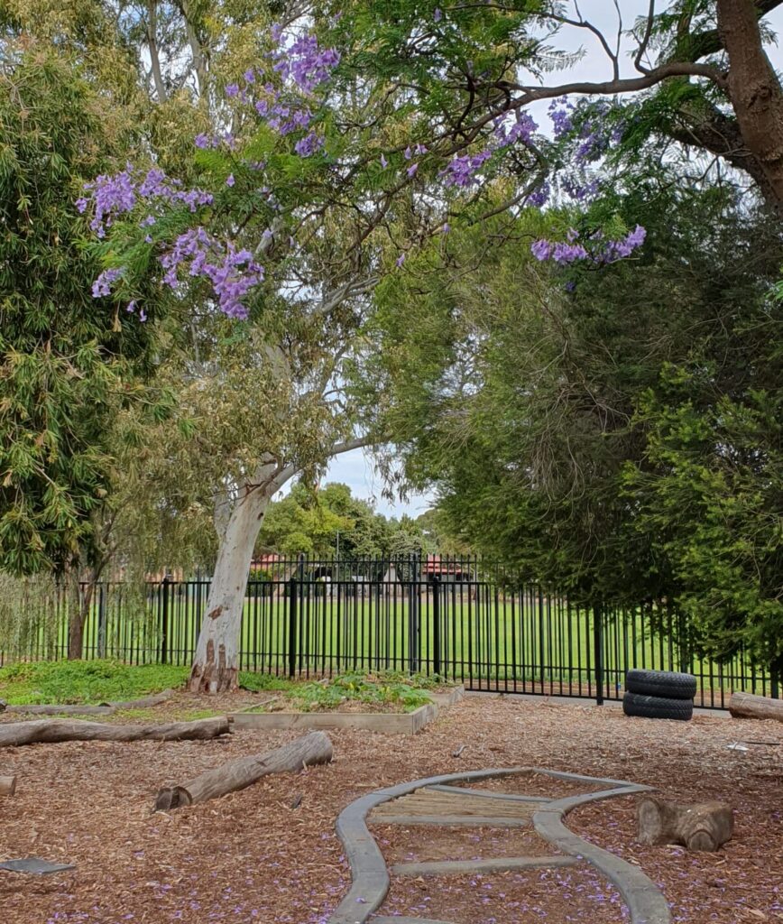 LOVELY PURPLE TREE